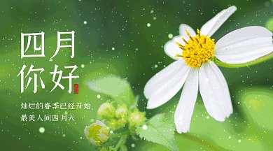 四月唯美绿色动态摄影图gif横图