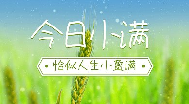 小满唯美绿色动态摄影图gif横图