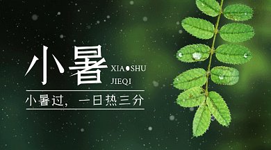 小暑节气绿色树叶摄影图gif横图