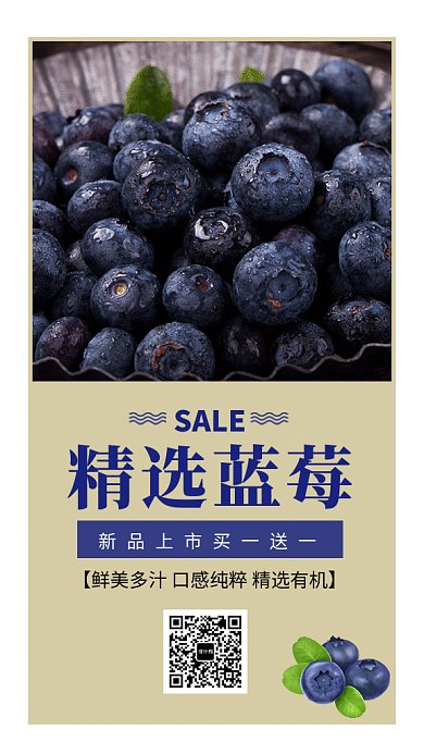 2019创意蓝莓促销广告GIF海报