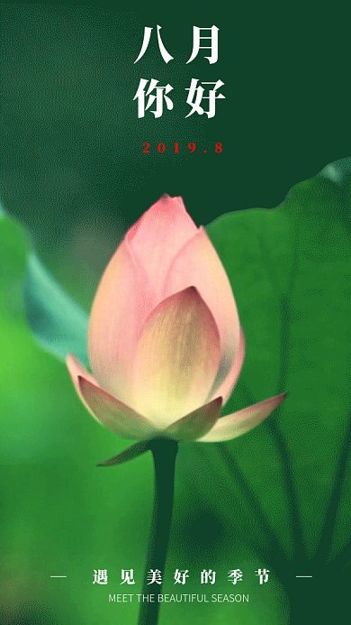 2019绿色简约荷花8月月签GIF海报
