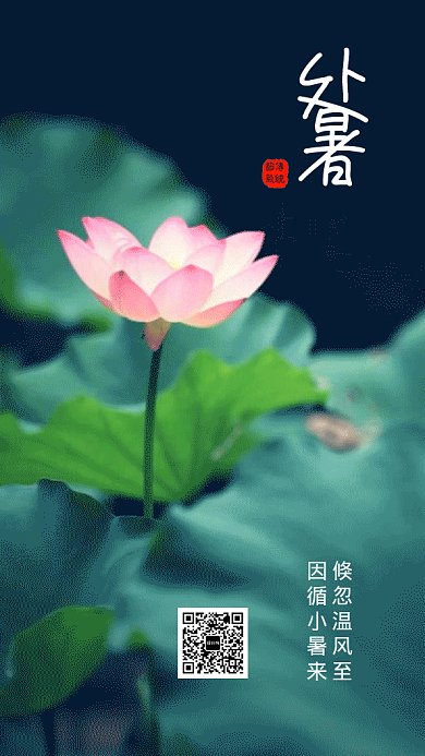 2019荷花简约处暑节气GIF海报