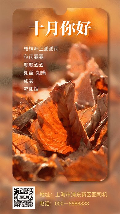 十月你好秋叶满地实景gif海报
