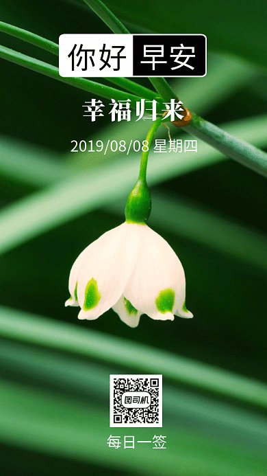 绿色文艺插画你好早安日签GIF海报