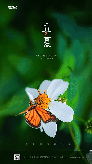原创立夏GIf动态海报
