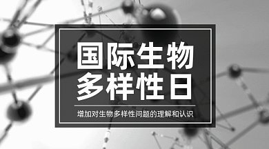  国际生物多样性日gif横图