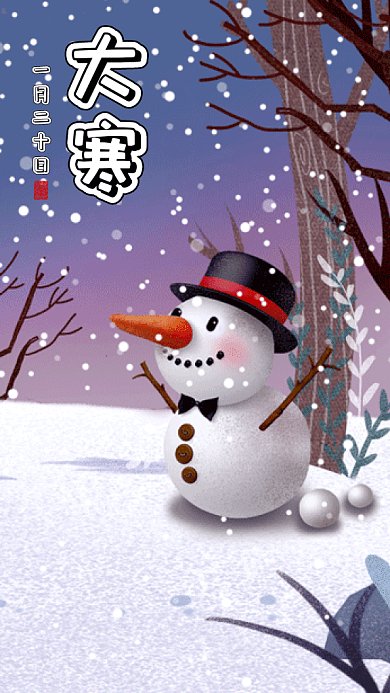二十四节气之大寒gif手机海报