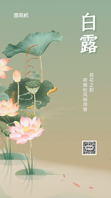 白露节气GIF海报