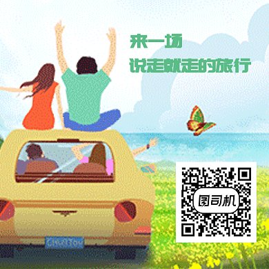 简约旅行车清新旅游GIF二维码