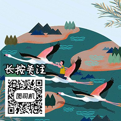 简约清新鹤树花卡通gif二维码