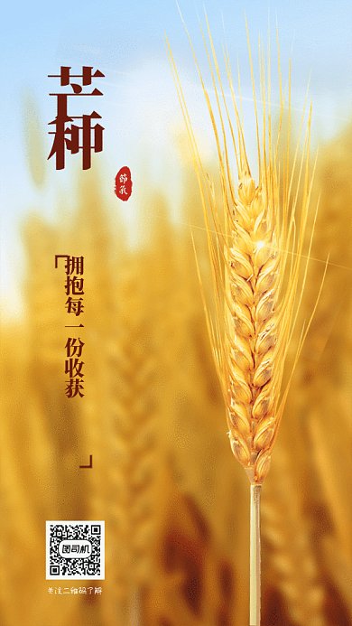 芒种节气GIF动态海报