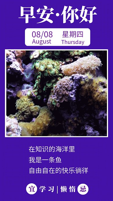 紫色简约早安你好日签GIF海报