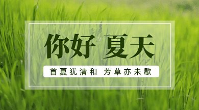 你好夏天gif横图