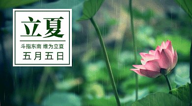 二十四节气之立夏池塘风景gif横图
