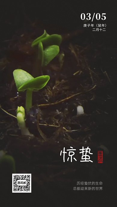 黑色简约惊蛰节气植物生长GIF海报