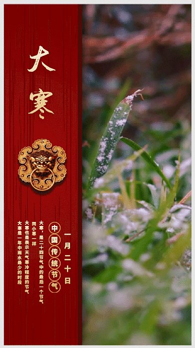 中国节日二十四节气之大寒gif手机海报