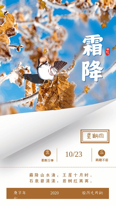 霜降节气GIF动态海报