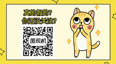 简约小猫期待创意卡通GIF横图