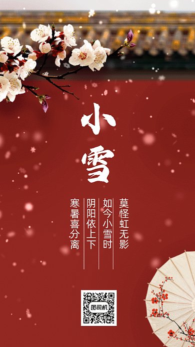 小雪唯美雪景二十四节气gif竖版海报