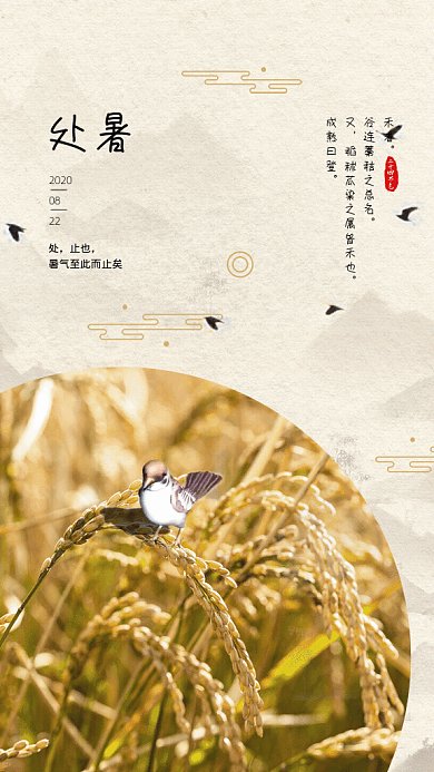 处暑节气GIF动态海报