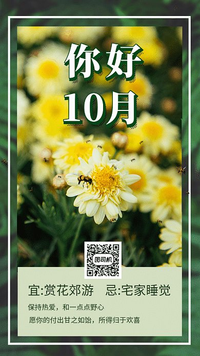 你好十月赏菊花写实gif海报