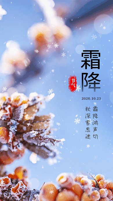 霜降节气GIF动态海报