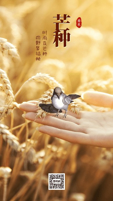 芒种节气GIF动态海报