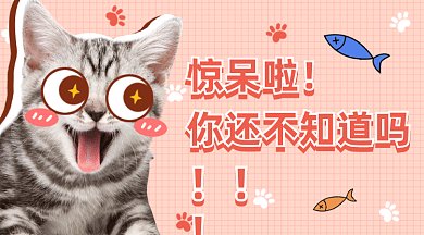 可爱猫咪趣味推荐gif横图