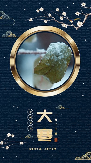 二十四节气之大寒gif手机海报