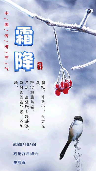 霜降节气写实gif海报