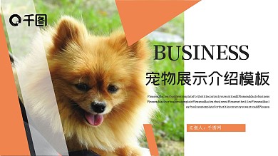 宠物展示介绍PPT模板