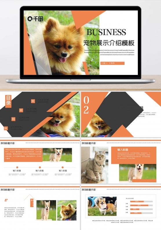 宠物展示介绍PPT模板