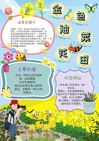小学生手抄报赏油菜花模板