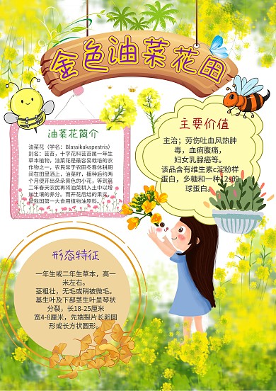 小学生手抄报赏油菜花模板