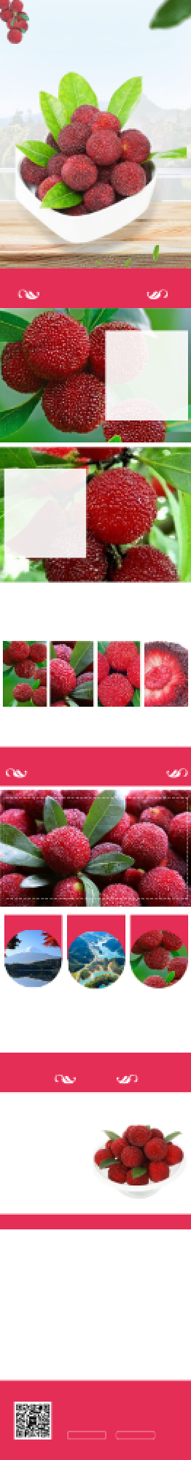 新鲜水果杨梅电商淘宝详情页背景