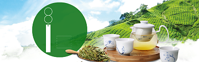 茶香特惠海报模版banner背景