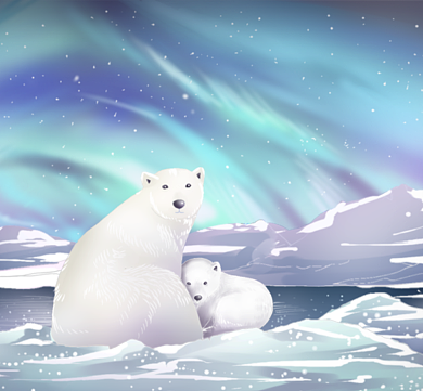 简约手绘北极熊朋友圈封面背景