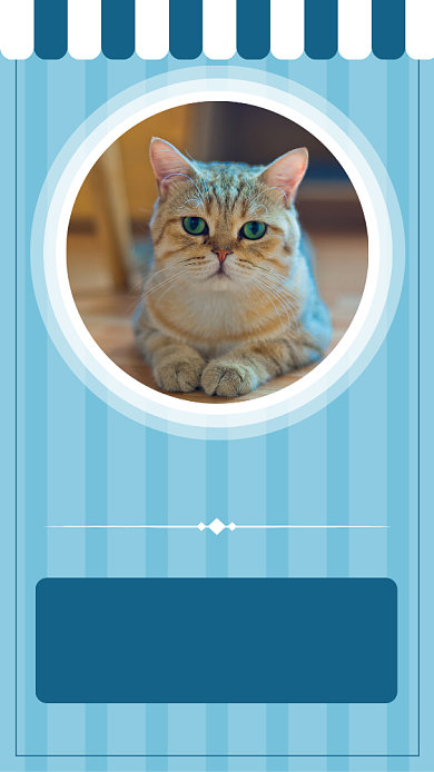 蓝色宠物招商手机海报模板背景