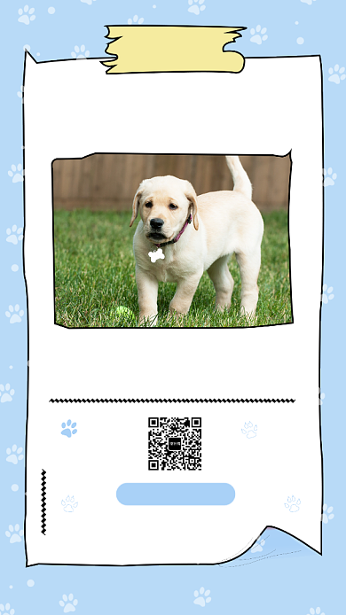 蓝色可爱简约宠物喂养指南手机海报模板背景