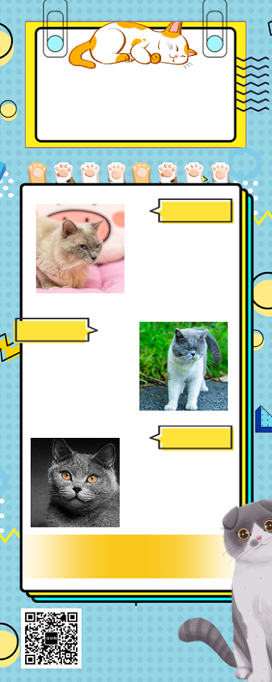 爱宠变美宠物美容宠物店长图海报背景