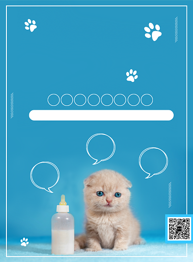 潮流时尚宠物之家蓝色宣传印刷海报背景
