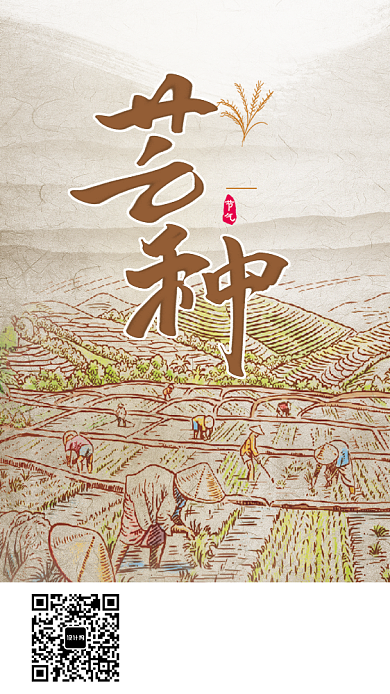中国节气芒种简约月签手机海报背景