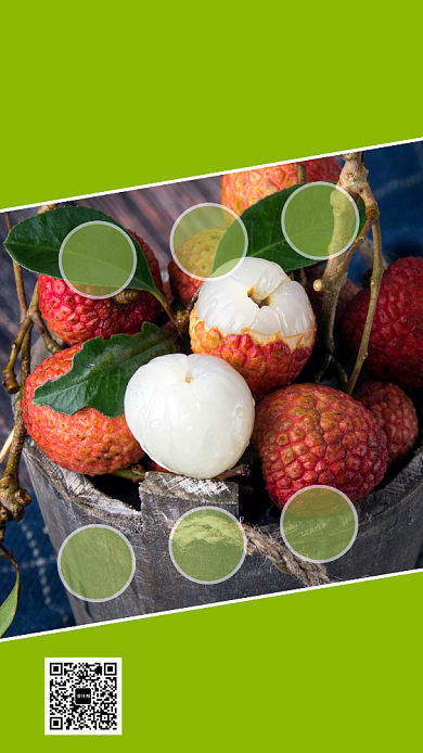 美味生态荔枝手机海报背景