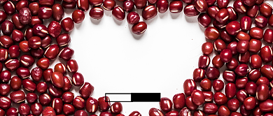 红色小满节气公众号首图背景