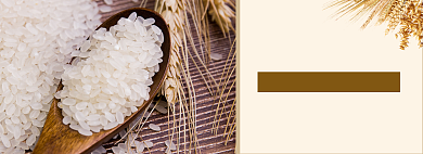 长粒香大米淘宝banner背景