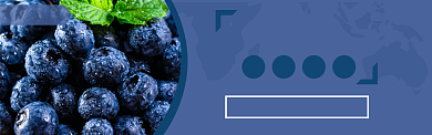 优质蓝莓淘宝banner背景