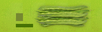 绿色水果蔬菜豆角促销banner背景