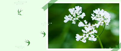 立春节气公众号首图背景