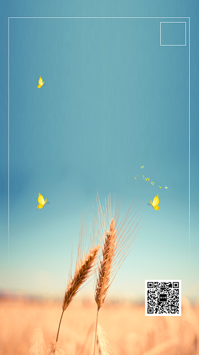 清新时尚日签手机海报背景