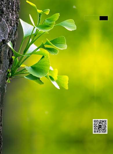 简约大气立春二十四节气海报背景